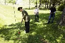 パークゴルフ.webp